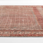 Ariana Machine Made Rug RUGS - synthetic Momeni