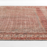 Ariana Machine Made Rug RUGS - synthetic Momeni