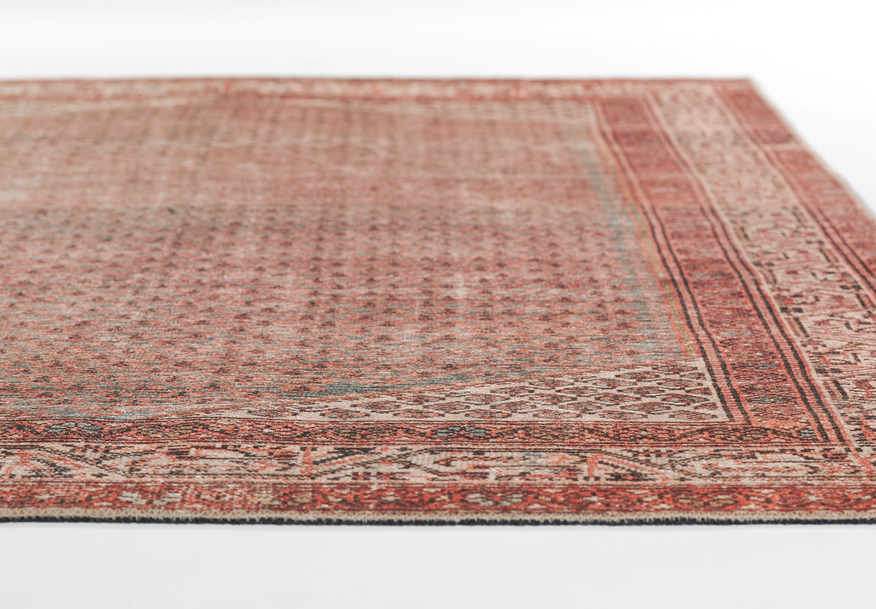 Ariana Machine Made Rug RUGS - synthetic Momeni