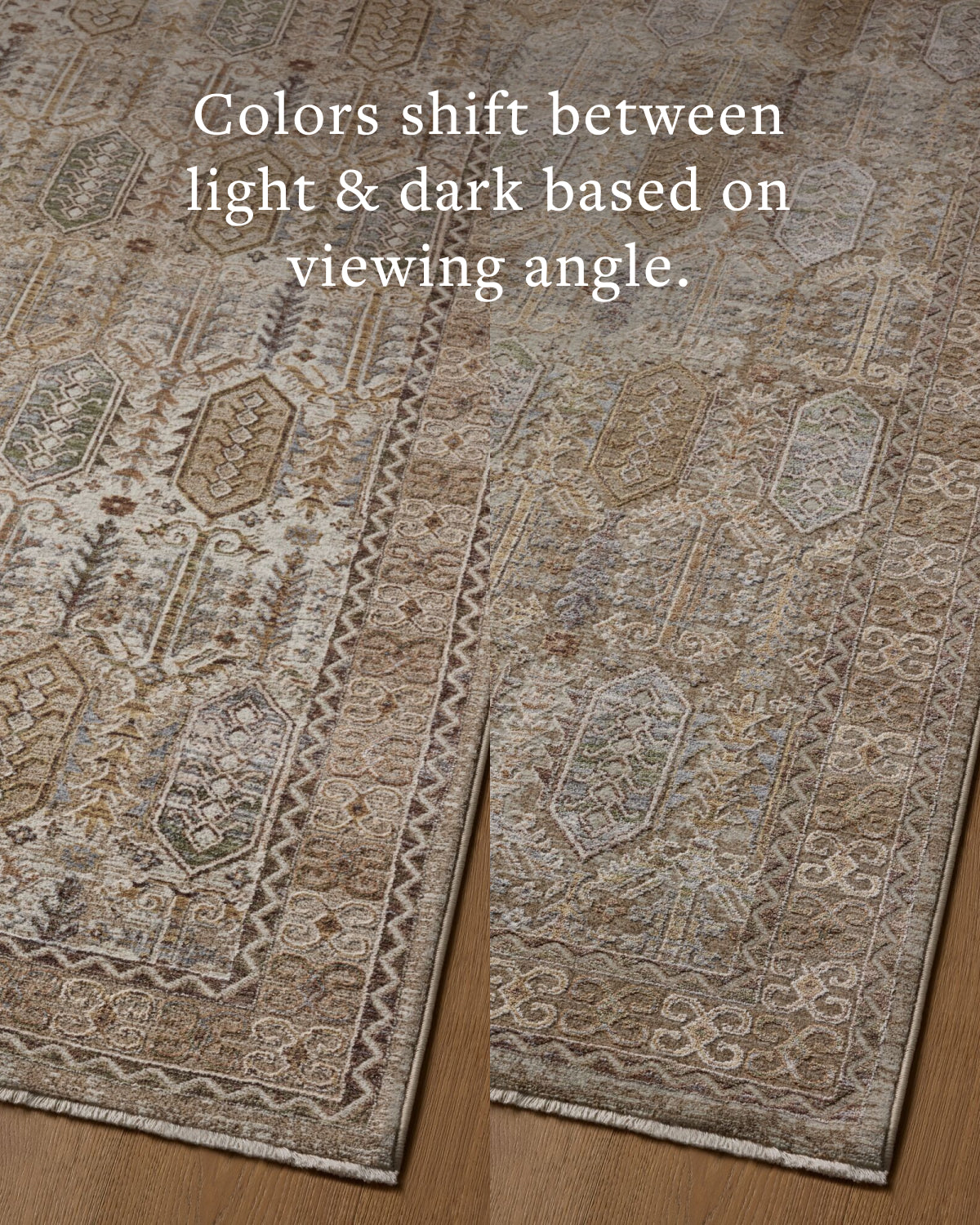 Loloi Aylin Taupe / Multi Rug - Rug & Weave