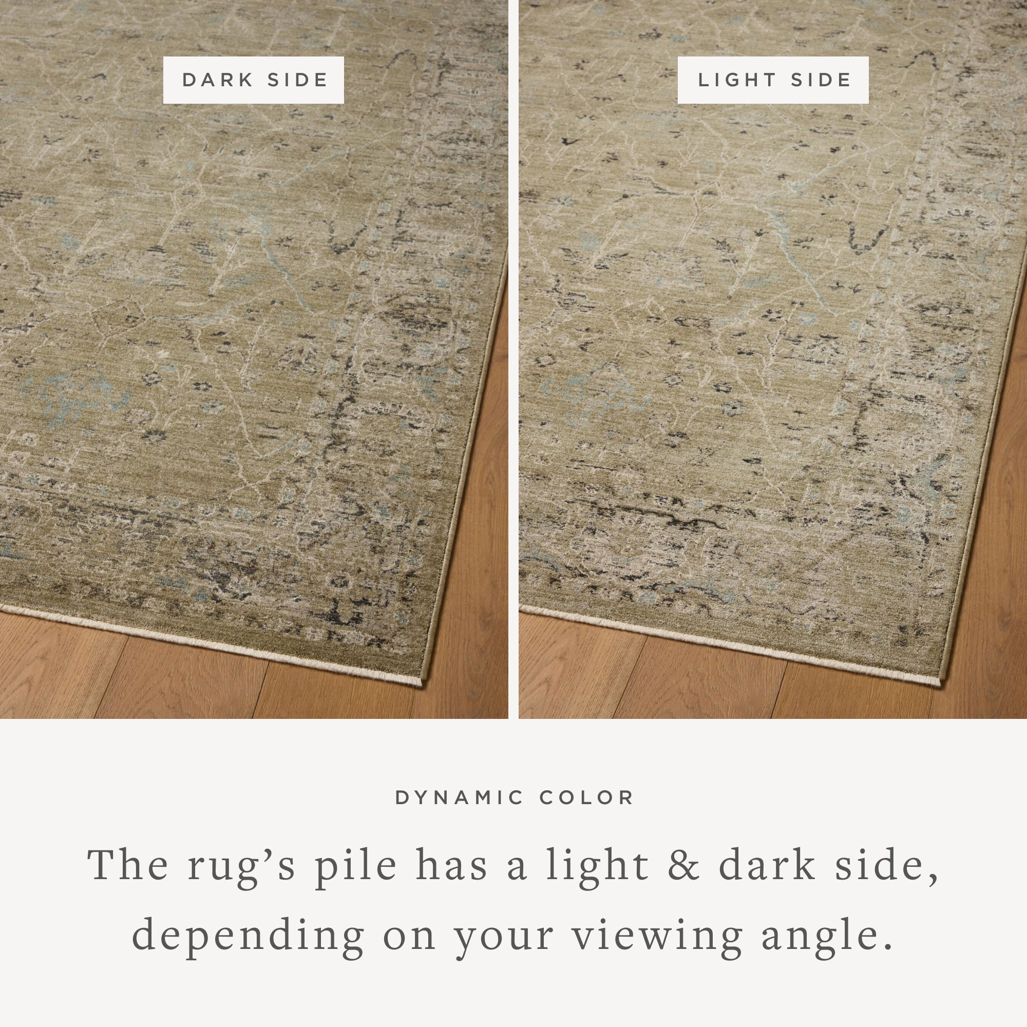 Loloi Briar Olive / Stone Rug RUGS - synthetic Loloi