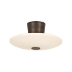 Albus Semi Flush LIGHTING - Semi Flush Hudson Valley Lighting Bronze Leaf