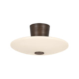 Albus Semi Flush LIGHTING - Semi Flush Hudson Valley Lighting Bronze Leaf