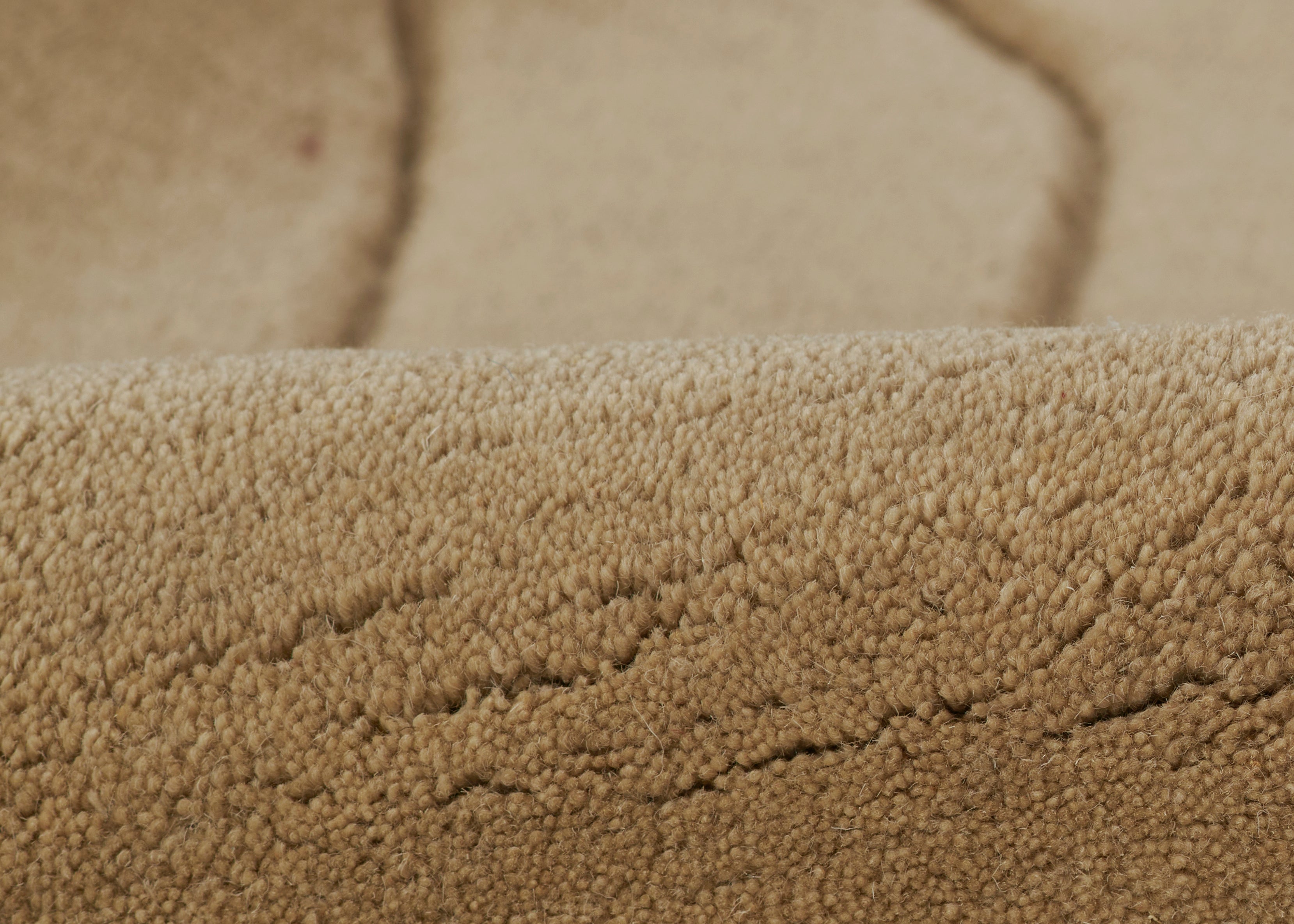 Cayden Curve Hand Tufted Rug RUGS - wool Momeni