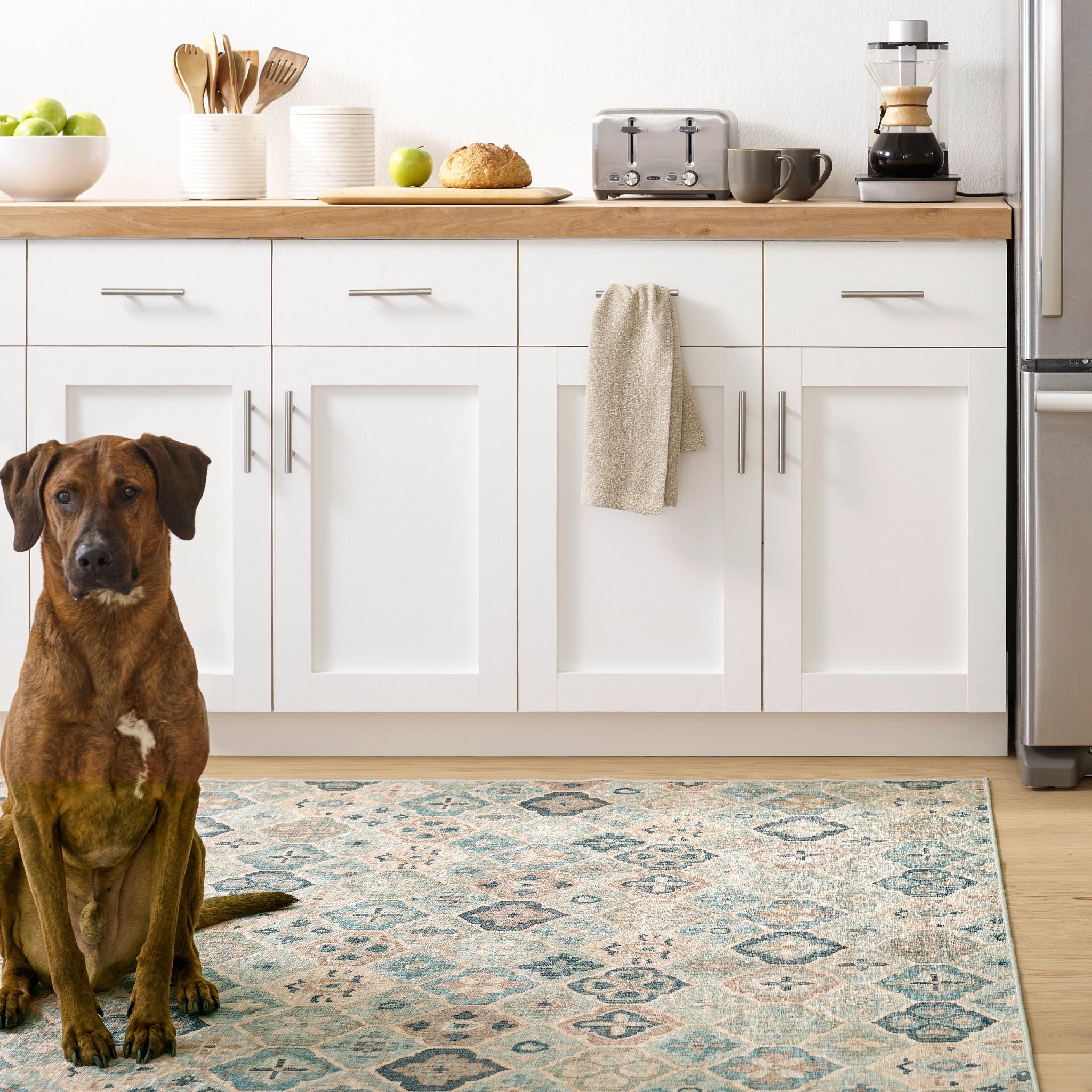 IN STORE - Pali Machine Washable Rug IN STORE - rugs Dash & Albert