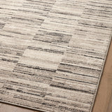 Loloi Darby Charcoal / Sand Rug