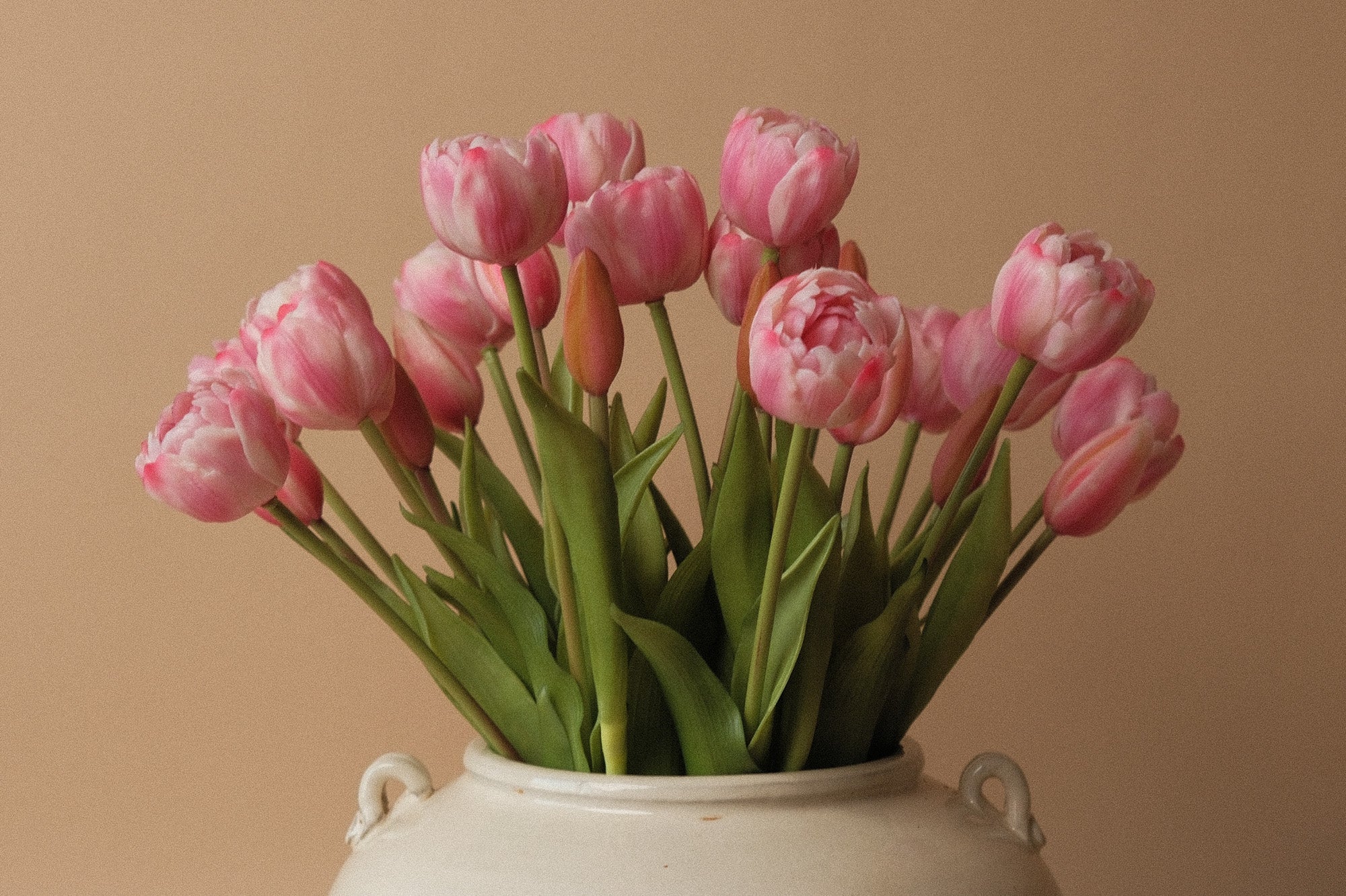 Faux Cotton Candy Pink Peony Tulip Bundle faux stem Tri W Imports