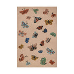 Rifle Paper Co. x Loloi Highgrove Blush Rug RUGS - wool Loloi 18" x 18" sample