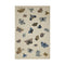 Rifle Paper Co. x Loloi Highgrove Cream Rug No.1 RUGS - wool Loloi 18" x 18" sample