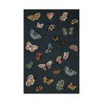 Rifle Paper Co. x Loloi Highgrove Teal Rug RUGS - wool Loloi 18" x 18" sample