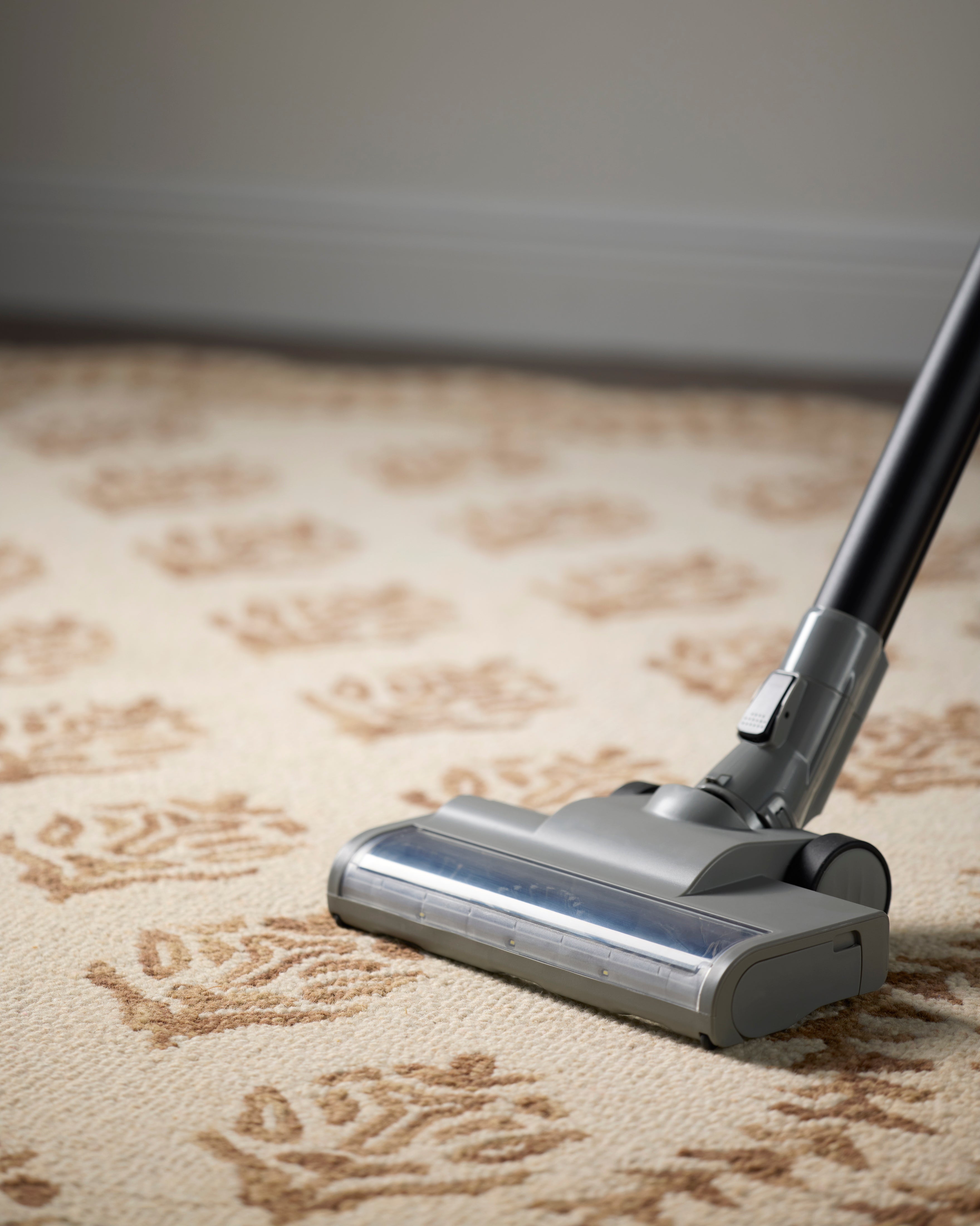 Rifle Paper Co. x Loloi Lisette Ivory / Natural Rug RUGS - wool Loloi