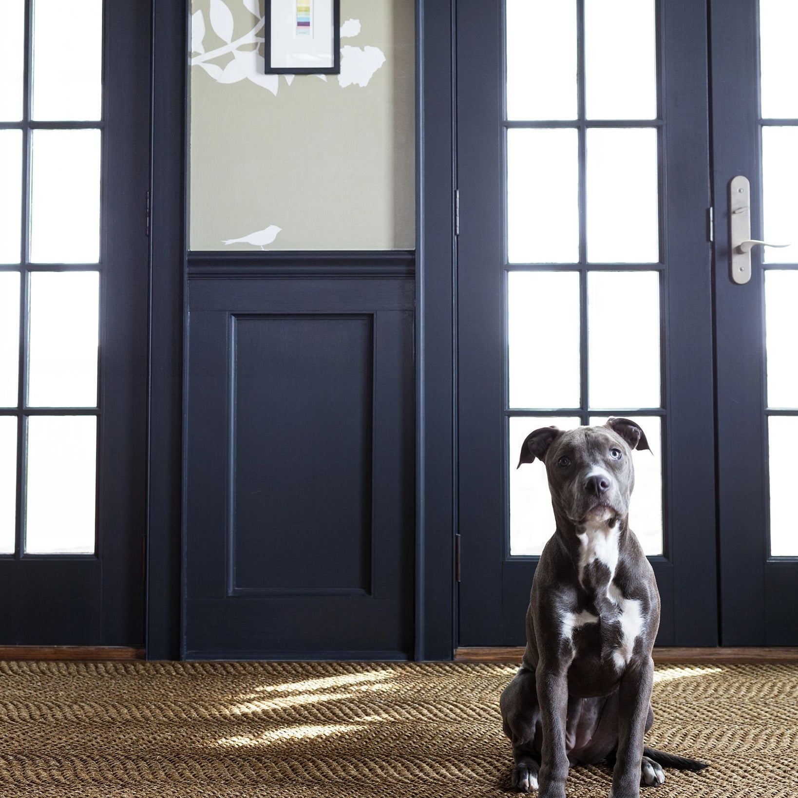 Wave Woven Sisal Rug RUGS - jute Dash & Albert