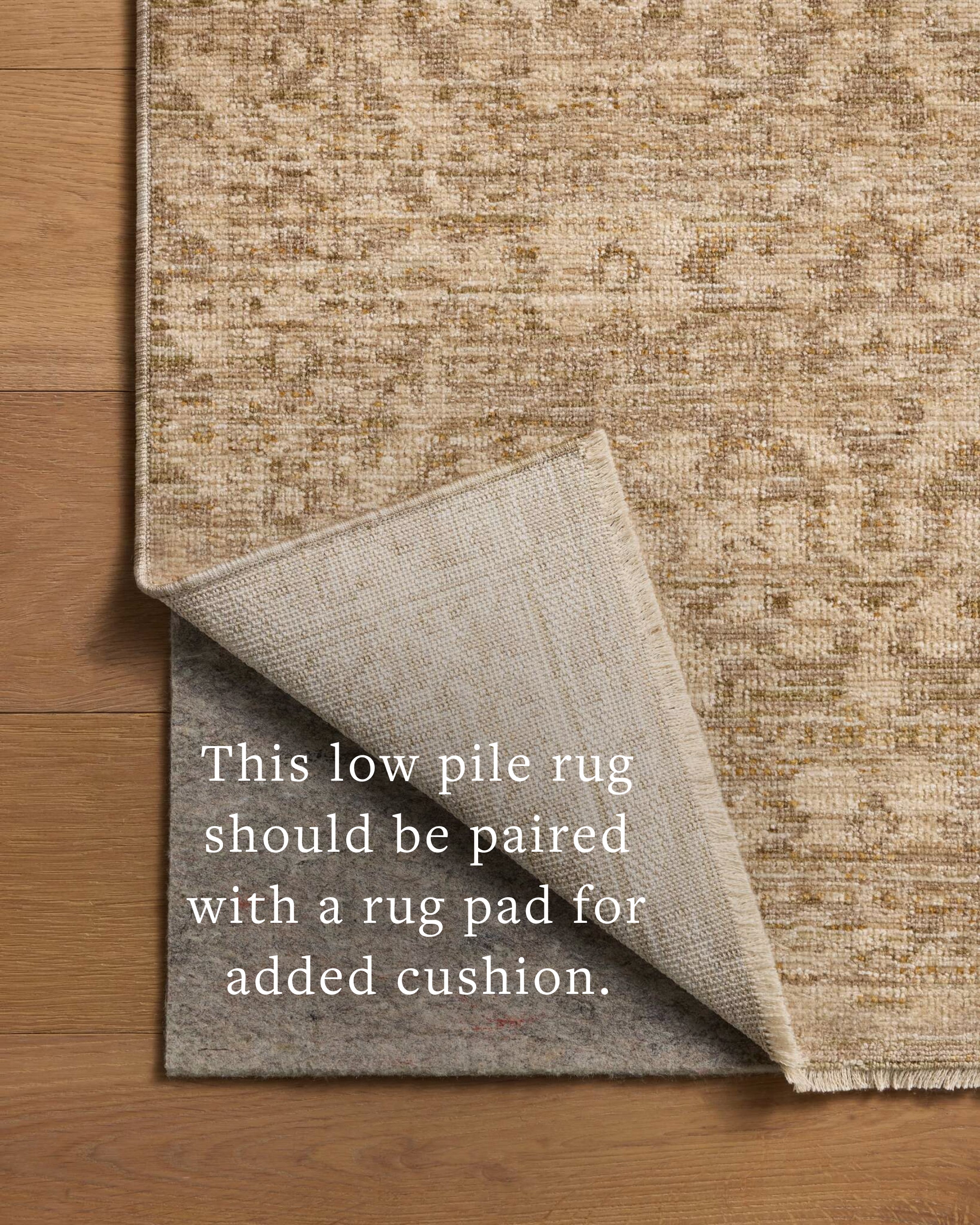 Chris Loves Julia x Loloi Miriam Olive / Khaki Rug - Rug & Weave