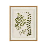 "Plant Pressings" Framed Art Print - Rug & Weave
