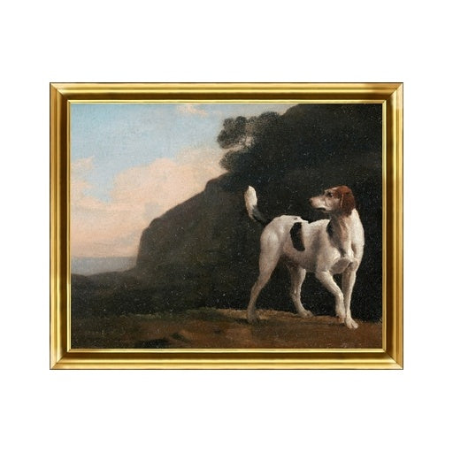 "Old Friend" Framed Art Print
