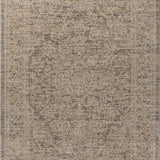 Loloi II Newman Slate / Natural Rug