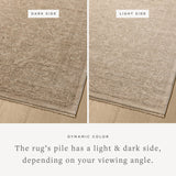 Loloi II Newman Taupe / Bone Rug