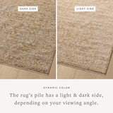 Loloi II Newman Wheat / Natural Sample Rug