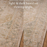 Amber Lewis x Loloi Nella Lagoon / Sand Rug – 7