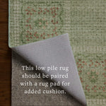Rifle Paper Co. x Loloi Orchard Green / Multi Machine Washable Rug RUGS - synthetic Loloi 18" x 18"