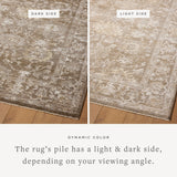 Magnolia Home by Joanna Gaines x Loloi Pace Bark / Natural Rug RUGS - synthetic Loloi