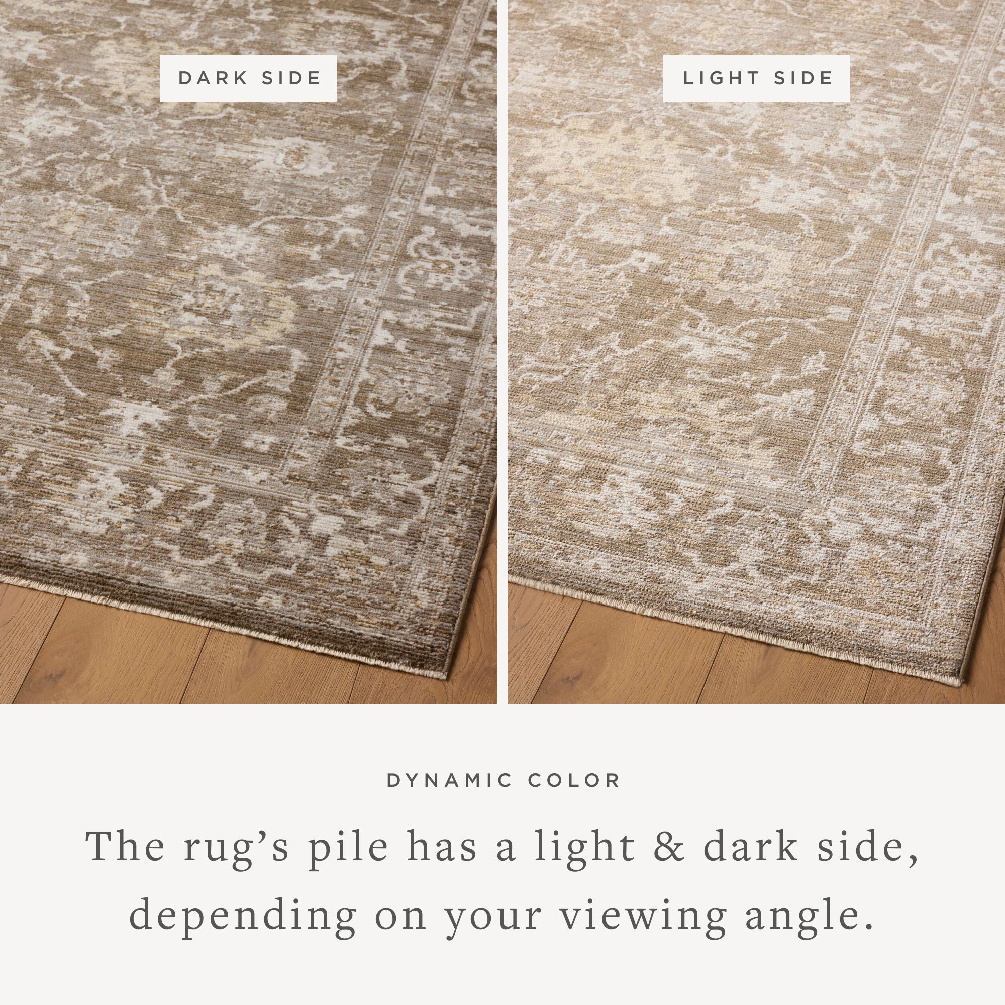 Joanna Gaines x Loloi Pace Bark / Natural Rug RUGS - synthetic Loloi