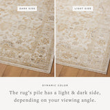 Joanna Gaines x Loloi Pace Natural / Gold Rug RUGS - synthetic Loloi
