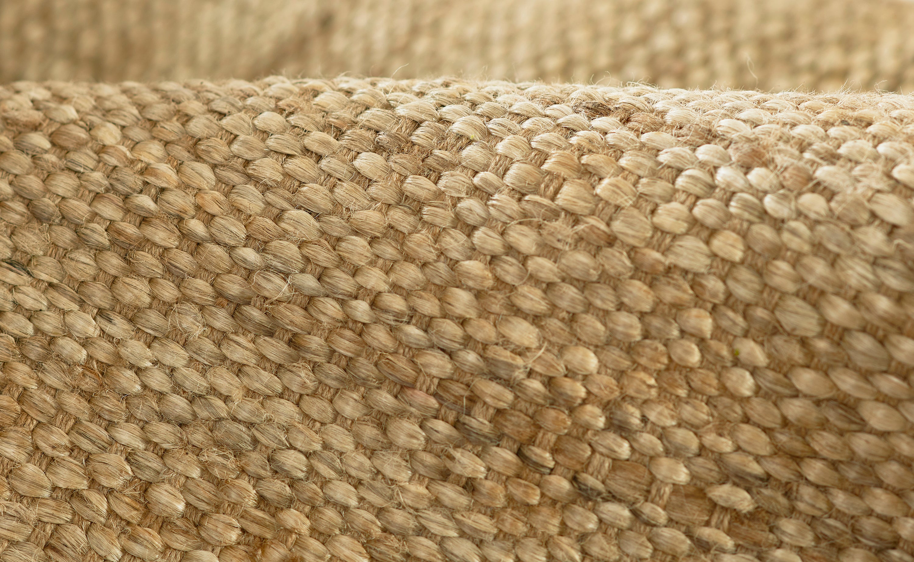 Parikia Scallop Edge Jute Area Rug RUGS - jute Momeni