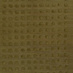 Patara Hand Woven Wool Area Rug RUGS - wool Momeni