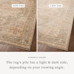 OVERSTOCK - Chris Loves Julia x Loloi Palma Olive / Spice Rug - 7'10" x 10' IN STORE - Sale Rugs Loloi