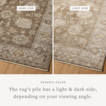Loloi Priscilla Bark / Ivory Rug RUGS - synthetic Loloi