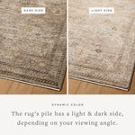Loloi Priscilla Sand / Earth Rug RUGS - synthetic Loloi