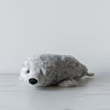 Henry the Harbour Seal