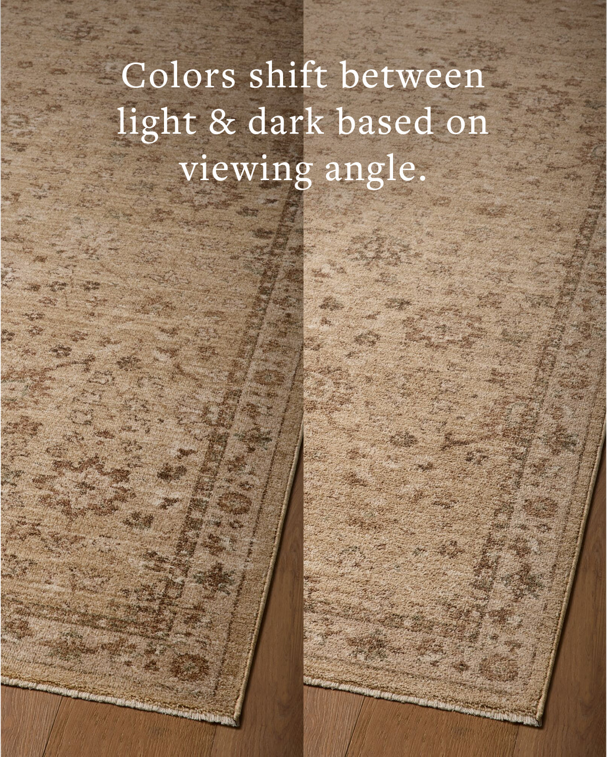 Magnolia Home x Loloi Storrie Wheat / Earth Rug - Rug & Weave