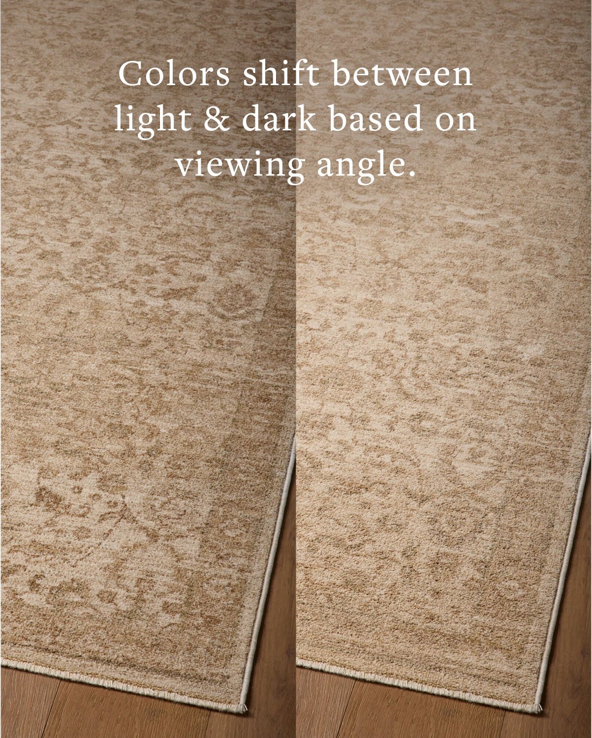 Magnolia Home x Loloi Storrie Ivory / Oatmeal Rug - Rug & Weave