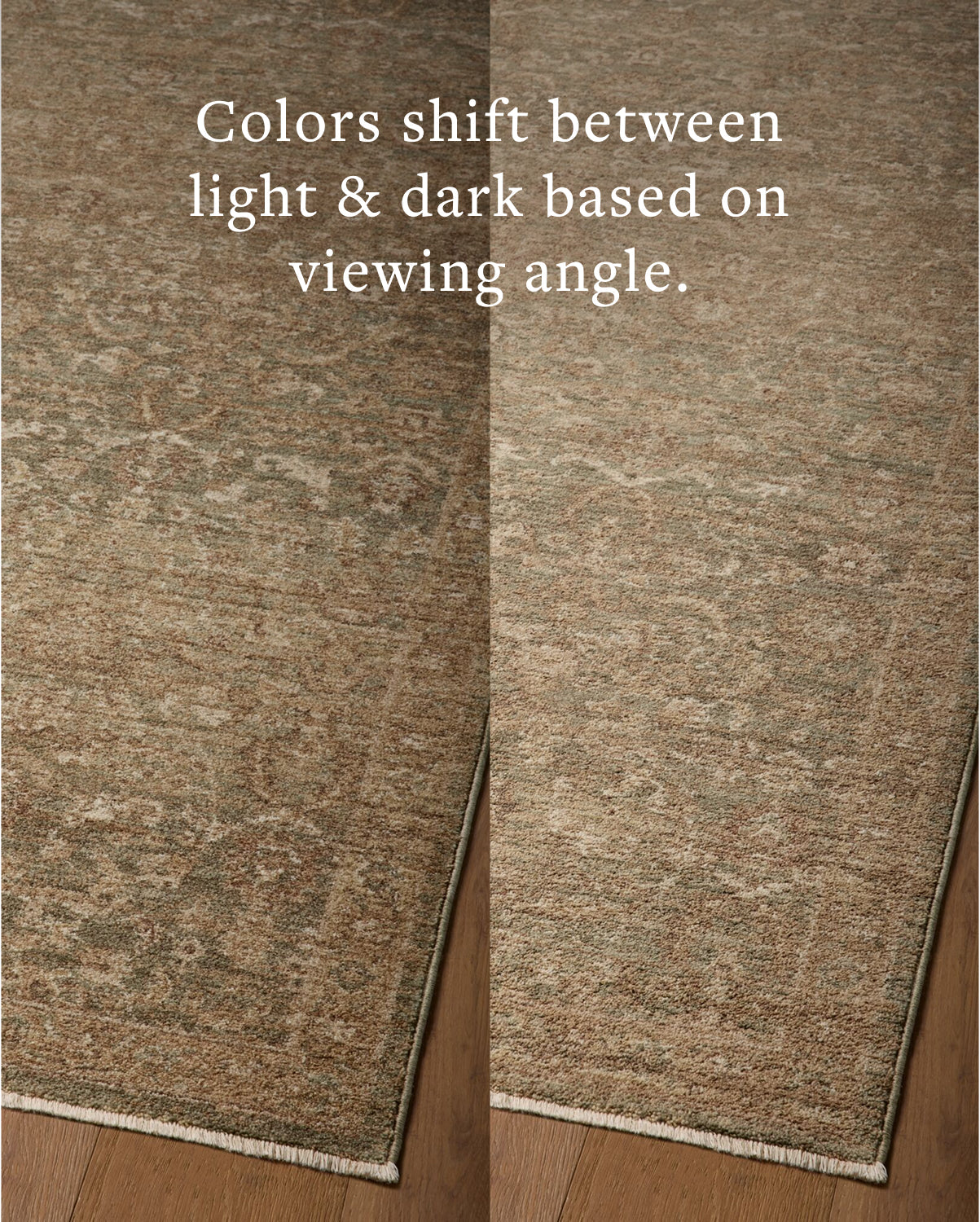Magnolia Home x Loloi Storrie Thyme / Tan Rug - Rug & Weave