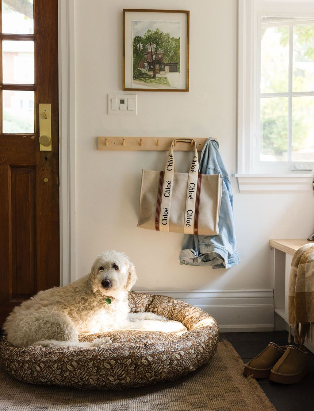 Printed Dog Bed - Rug & Weave