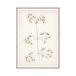 "Botanical Sketch I" Framed Art Print ARTWORK - framed print Celadon Art