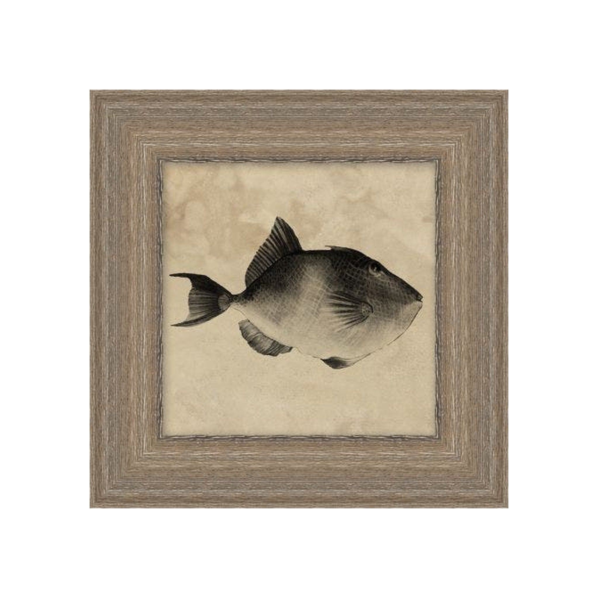 Deep Sea Trigger Fish ARTWORK - framed art Wendover Art Group