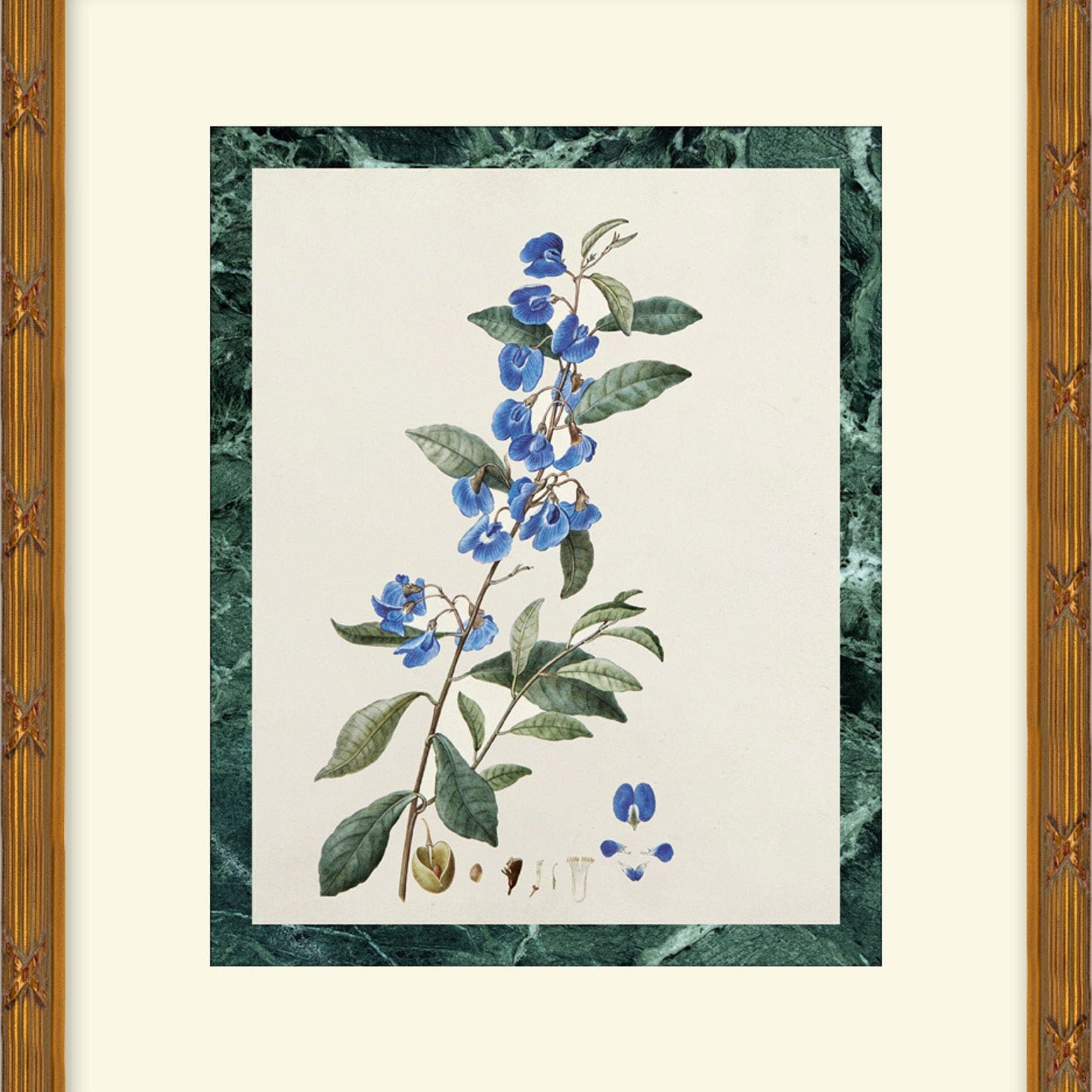 "Measured Beauty" Framed Art Print ARTWORK - framed art Wendover Art Group
