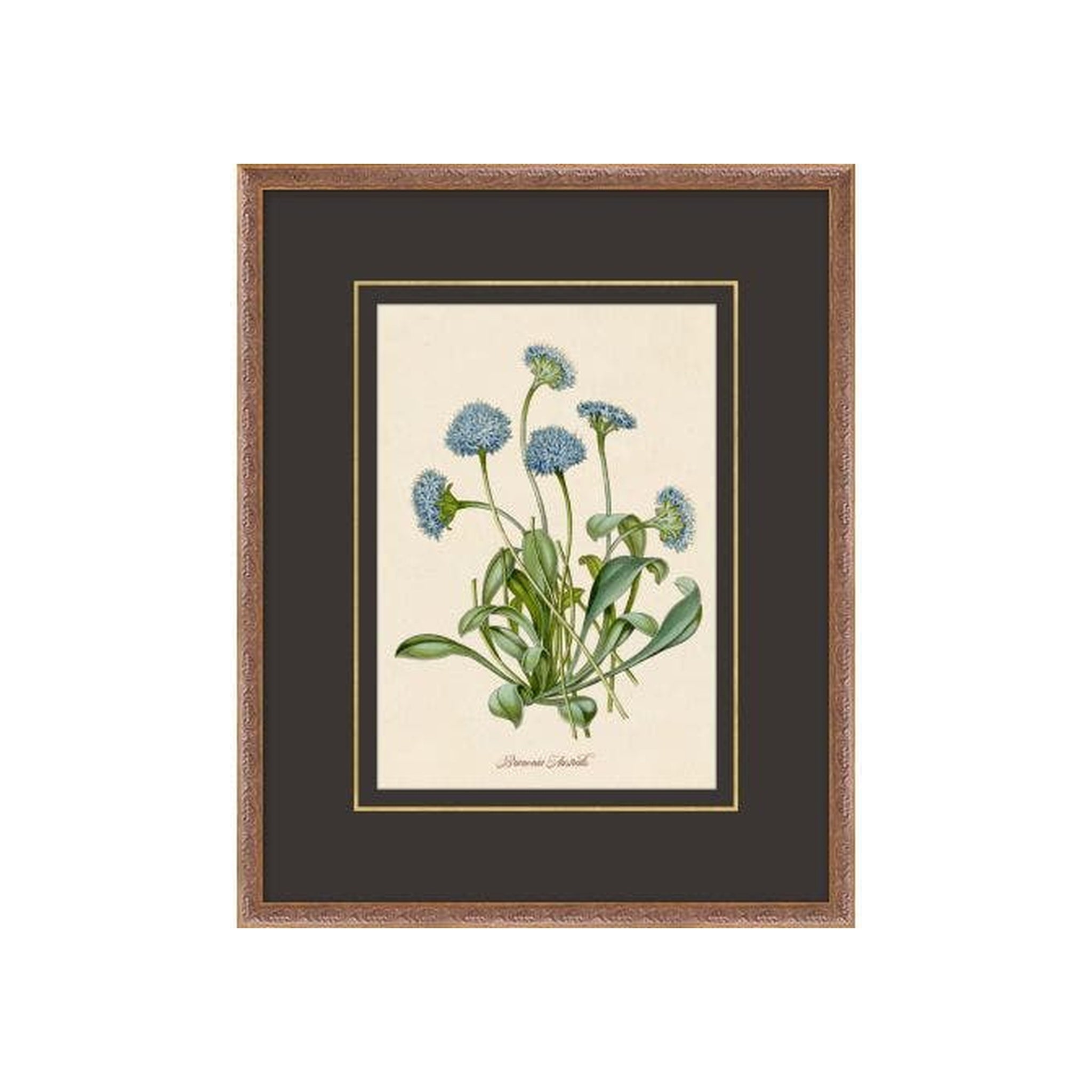 "Fine Flora" Framed Art Print, Fine Flora 3