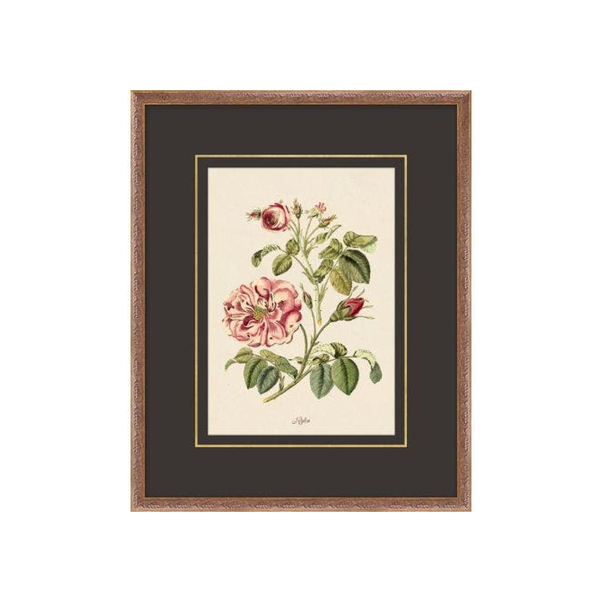 "Fine Flora" Framed Art Print, Fine Flora 8