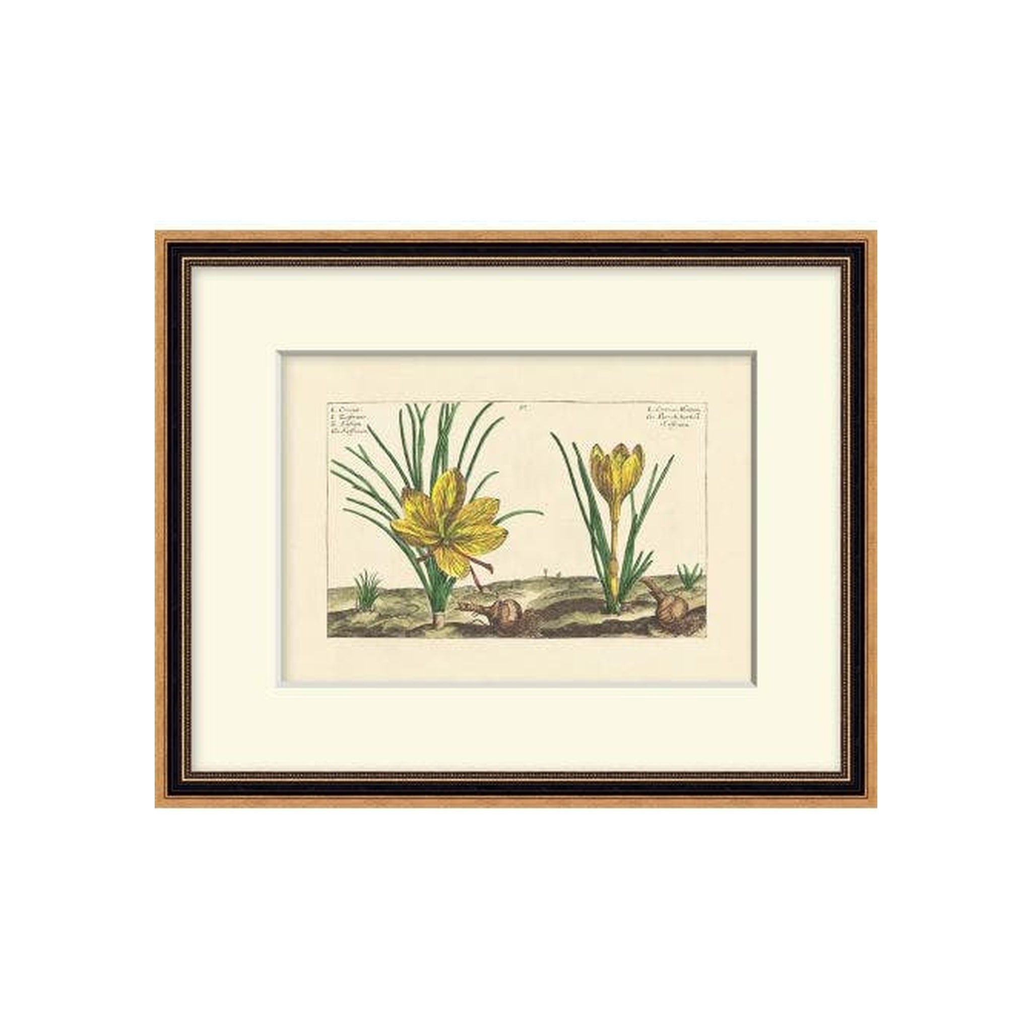 "Vintage Blooms" Framed Art Print
