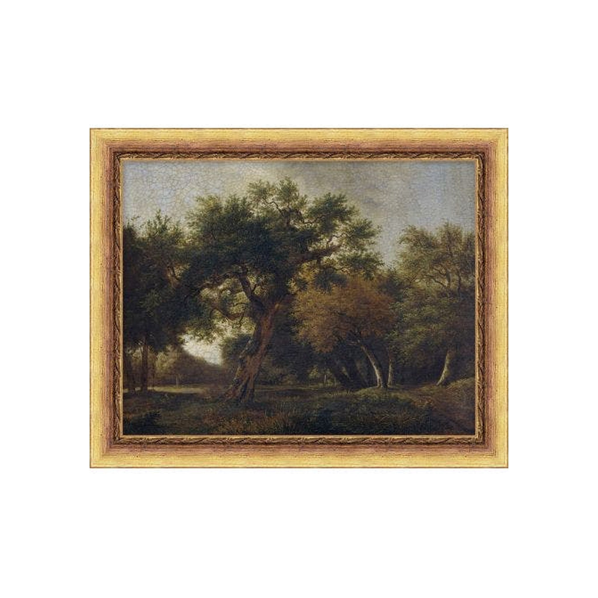 "Oak Orchard" Framed Art Print, Oak Orchard 1