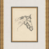 "Equine Sketch" Framed Art Print ARTWORK - framed art Wendover Art Group