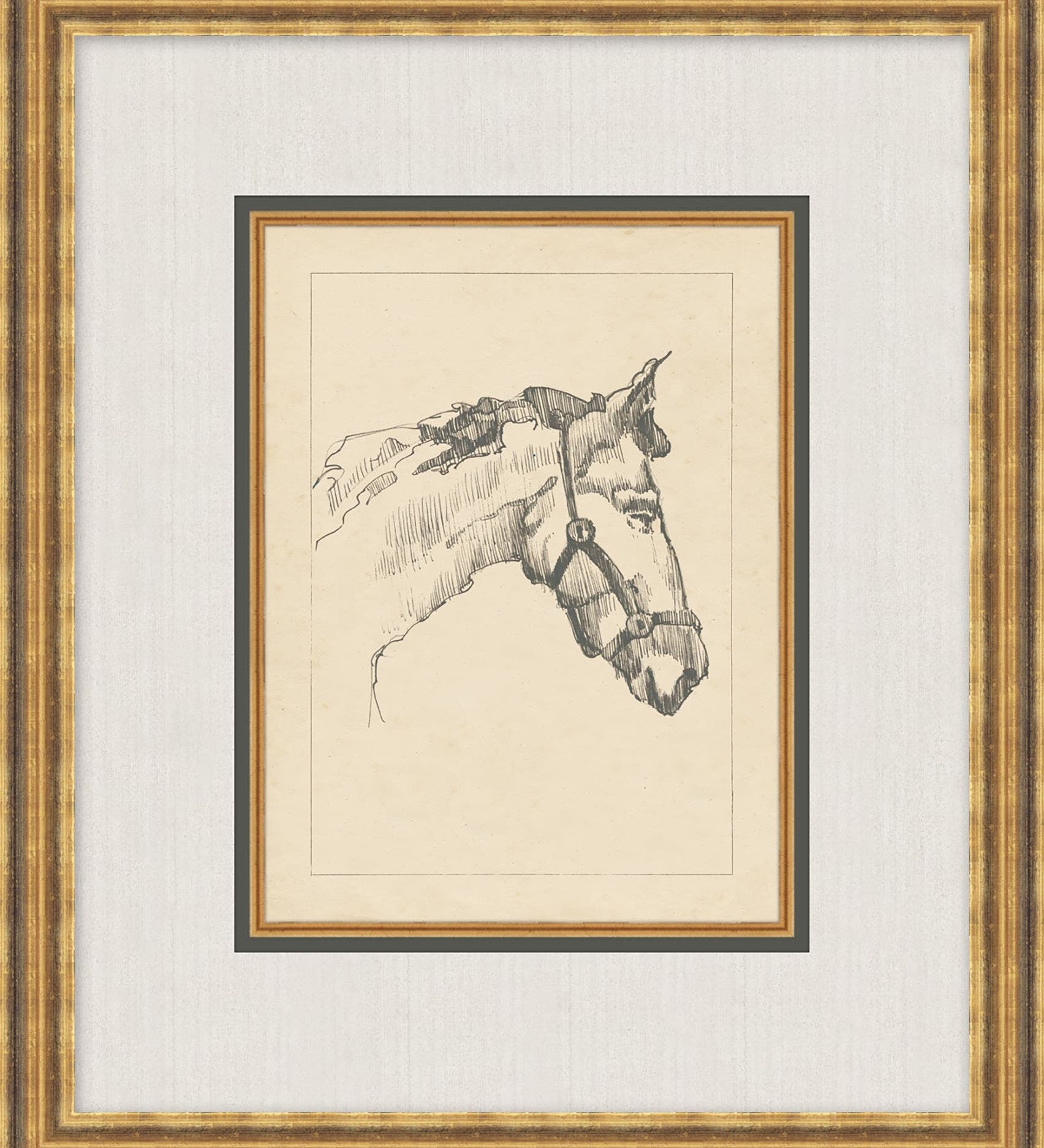 "Horse Sketch" Framed Art Print