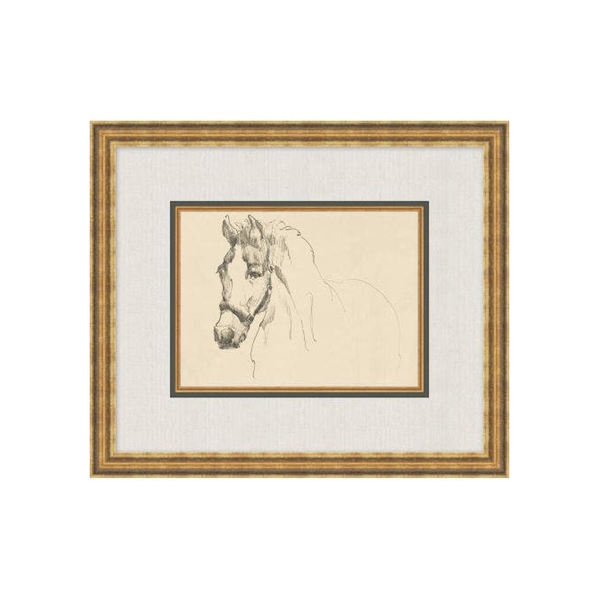 Equine Lines 4 ARTWORK - framed art Wendover Art Group