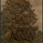 "Ash Field" Framed Art Print ARTWORK - framed art Wendover Art Group