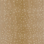 Woodland Antelope Hand Tufted Wool Area Rug RUGS - wool Momeni