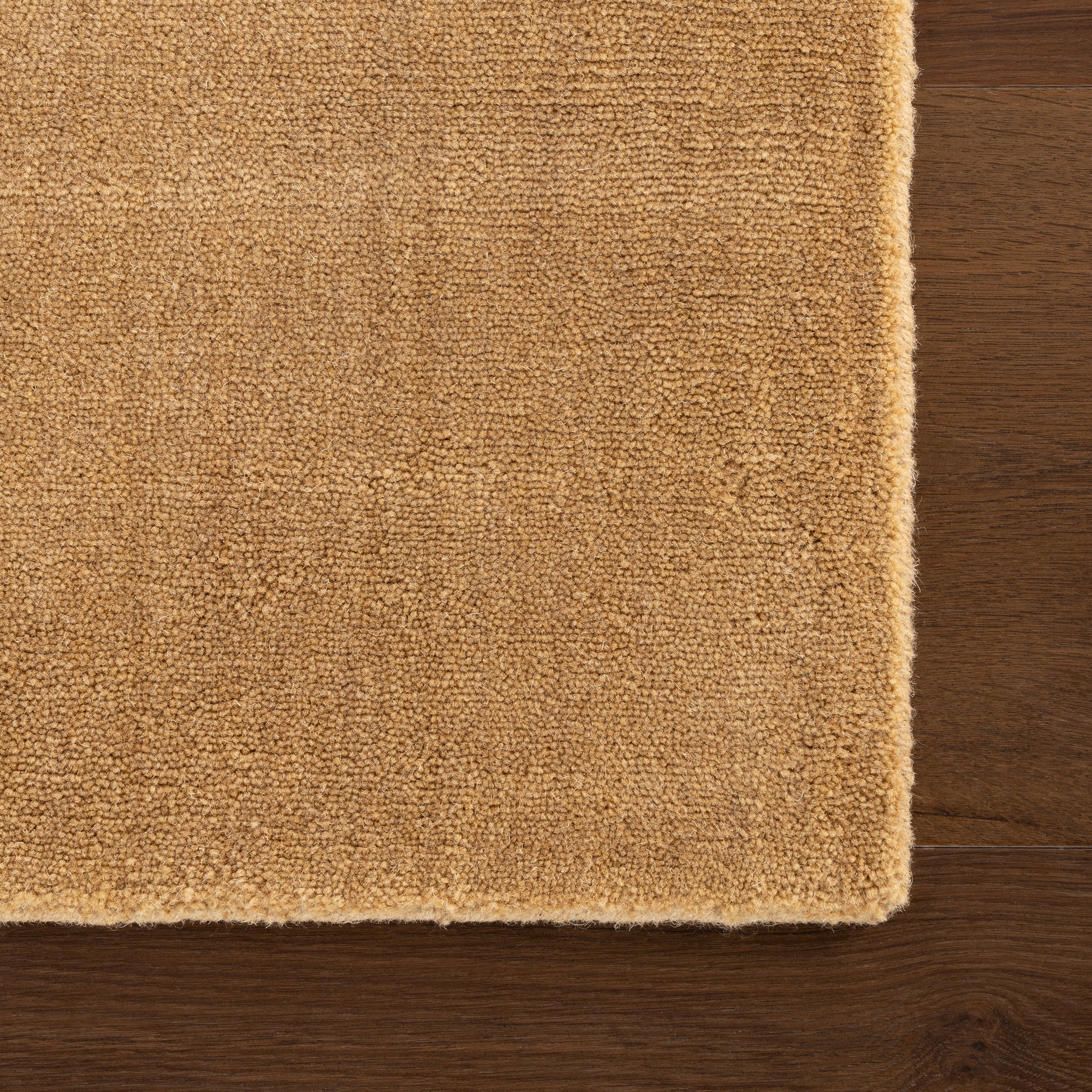 Taniea Modern Rug RUGS - wool Dash & Albert